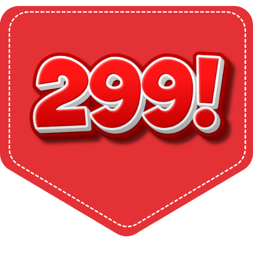 ₹1 – ₹299