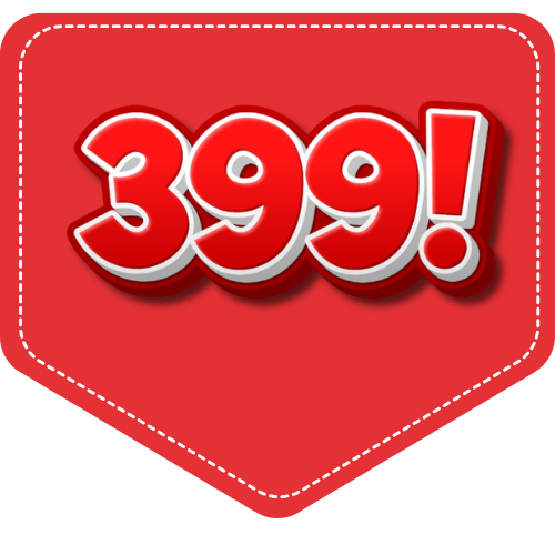 ₹300 – ₹399