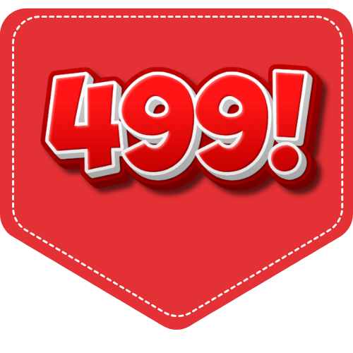 ₹400 – ₹499