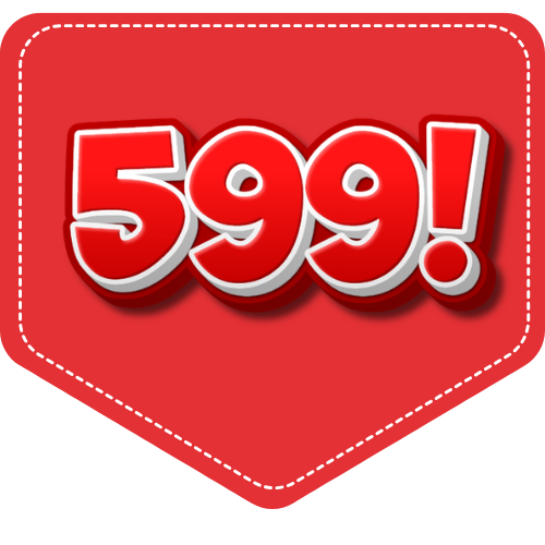 ₹500 – ₹599